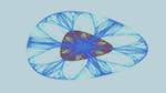 First of 'reflets &mdash; msg &mdash; abstract 1 attr new colour 1'.
