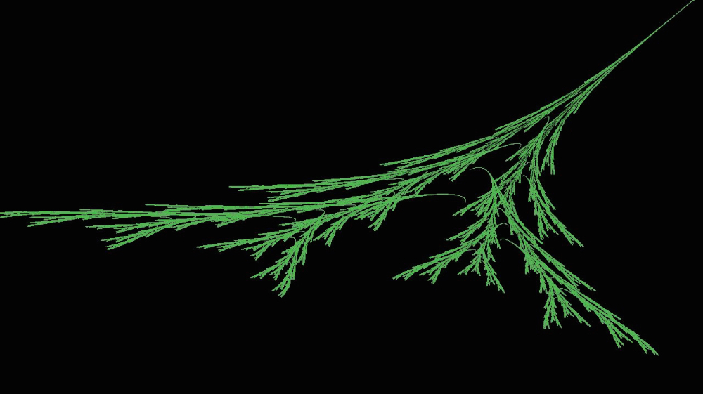 Image 'reflets &mdash; msg &mdash; abstract attractors plant forms 2'.