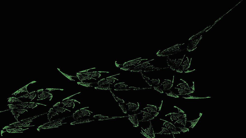 Image 'reflets &mdash; msg &mdash; abstract attractors plant forms 3'.