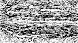 image: an image