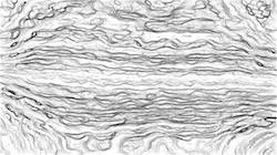 image: an image