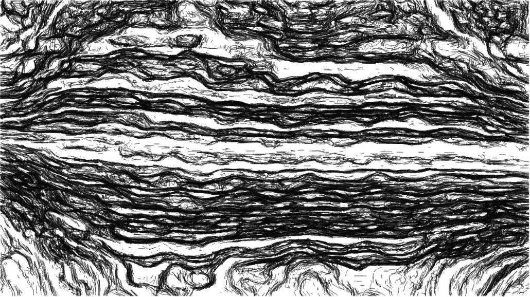 image: an image