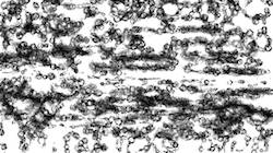 image: an image