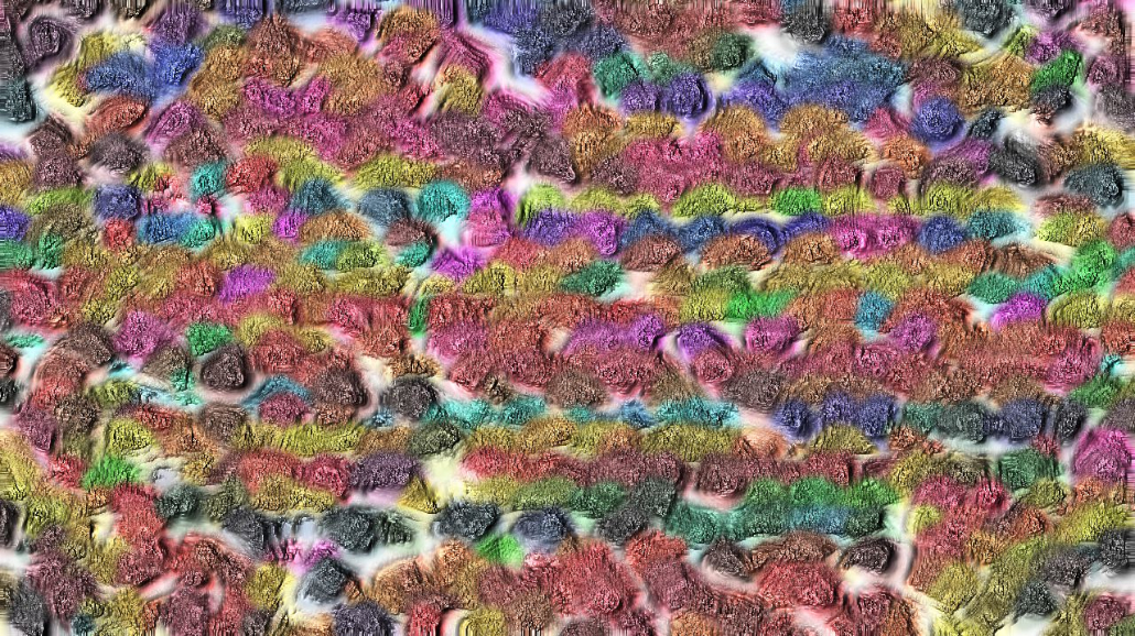 image: an image