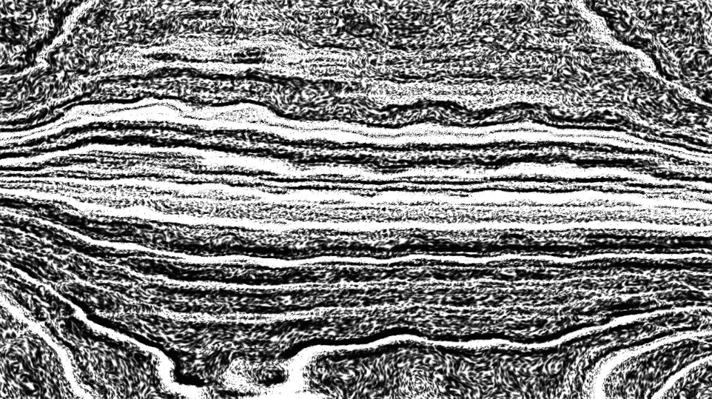 image: an image