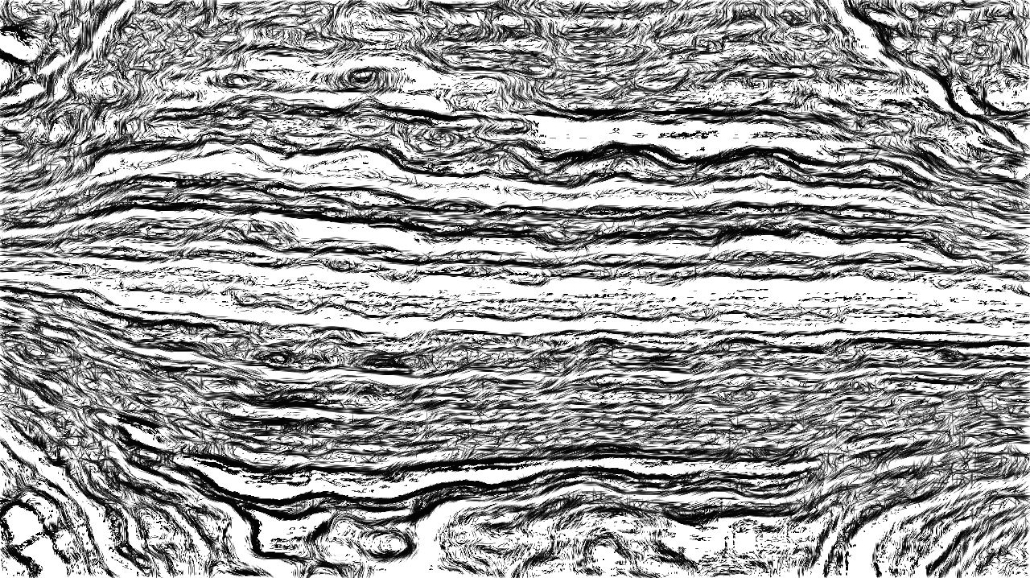 image: an image