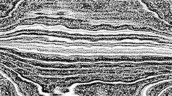 image: an image