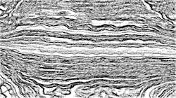image: an image