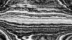 image: an image