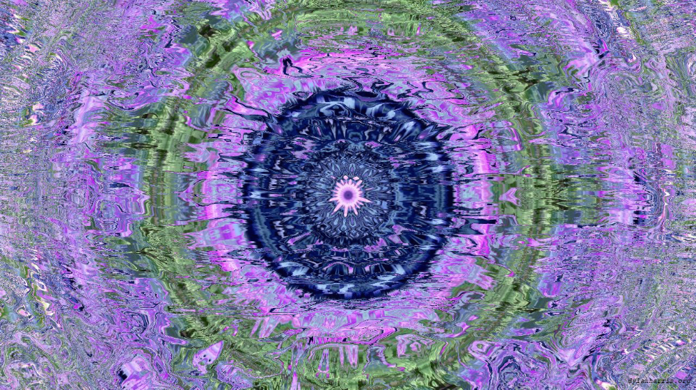 image: an image