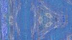 Fifth of 'reflets &mdash; msg &mdash; variations 1 backing 0 1'.