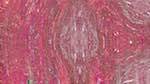 Sixth of 'reflets &mdash; msg &mdash; variations 1 backing 0 1'.