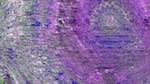 First of 'reflets &mdash; msg &mdash; variations 1 backing 1 3'.
