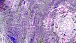 Fourth of 'reflets &mdash; msg &mdash; variations 1 backing 0 3'.