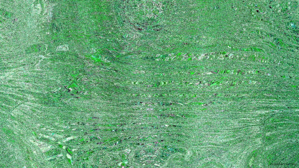 image: an image