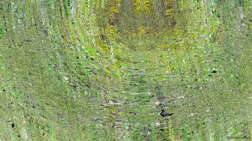 image: an image