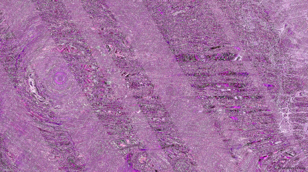 image: an image