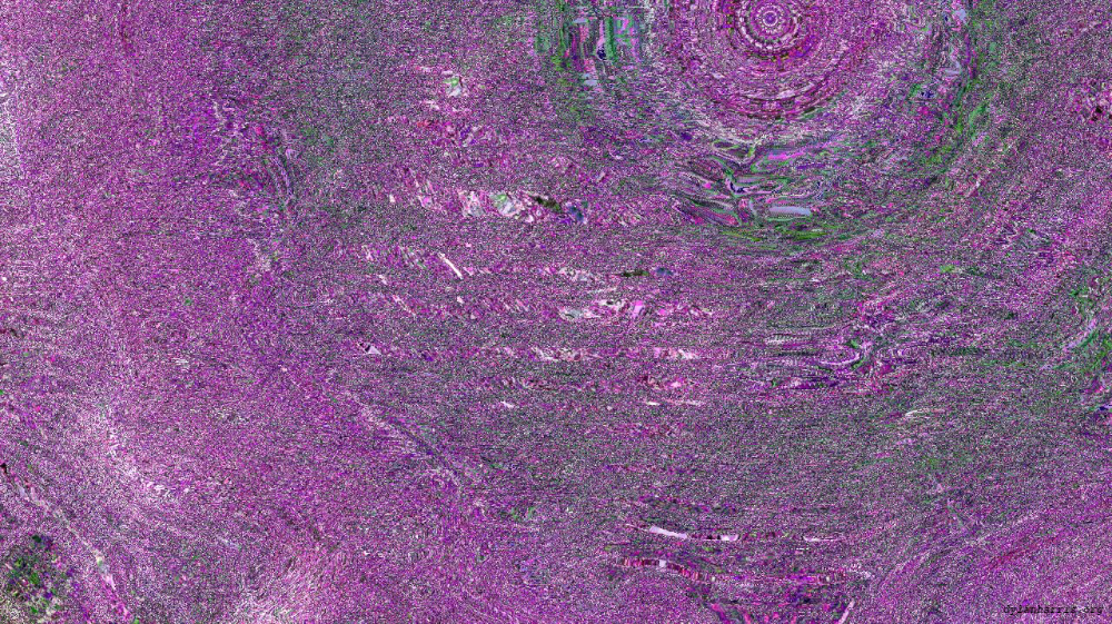 image: an image