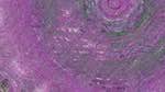 First of 'reflets &mdash; msg &mdash; variations 1 backing 0 6'.
