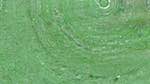 Sixth of 'reflets &mdash; msg &mdash; variations 1 backing 0 6'.