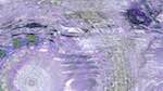 First of 'reflets &mdash; msg &mdash; variations 1 backing 0 7'.