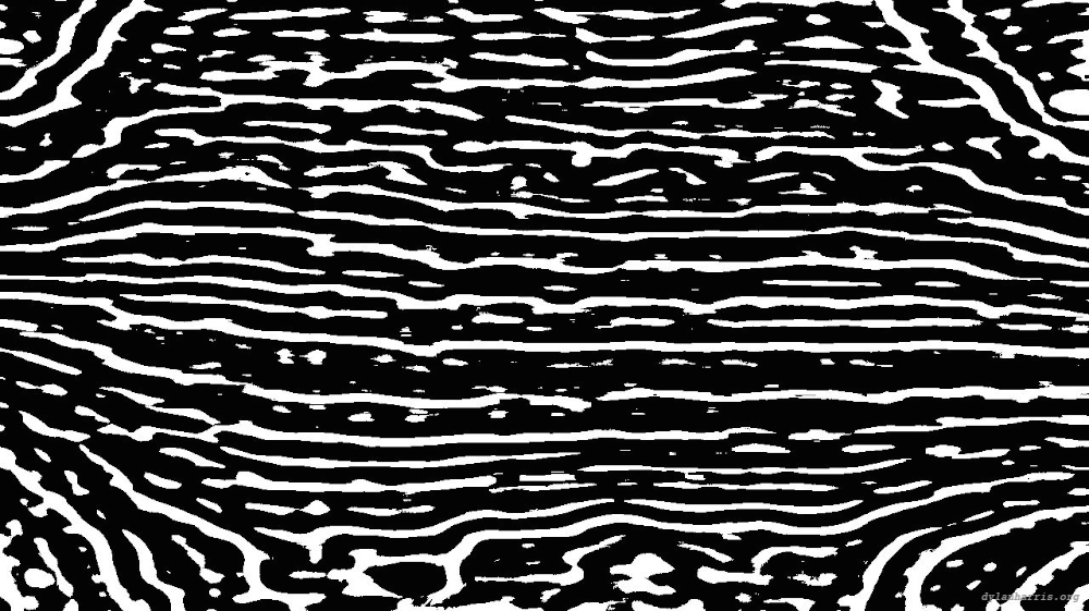Image 'reflets &mdash; msg &mdash; processing effects 0 black n white 1 5'.