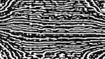 Fifth of 'reflets &mdash; msg &mdash; processing effects 0 black n white 1'.