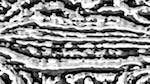 Eighth of 'reflets &mdash; msg &mdash; processing effects 0 black n white 2'.