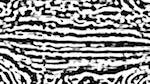 Third of 'reflets &mdash; msg &mdash; processing effects 0 black n white 3'.