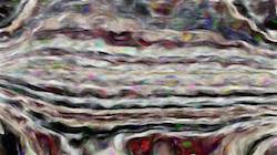 image: an image