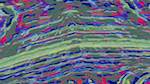 Eighth of 'reflets &mdash; msg &mdash; variations 2 b new 10'.