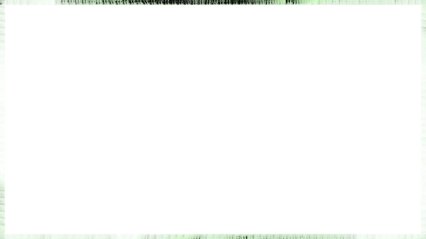 Image 'reflets &mdash; paint synthesiser classic &mdash; speciality borders 1 7'.