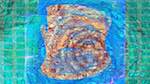 Eighth of 'reflets &mdash; msg &mdash; variations 1 boxed 2'.