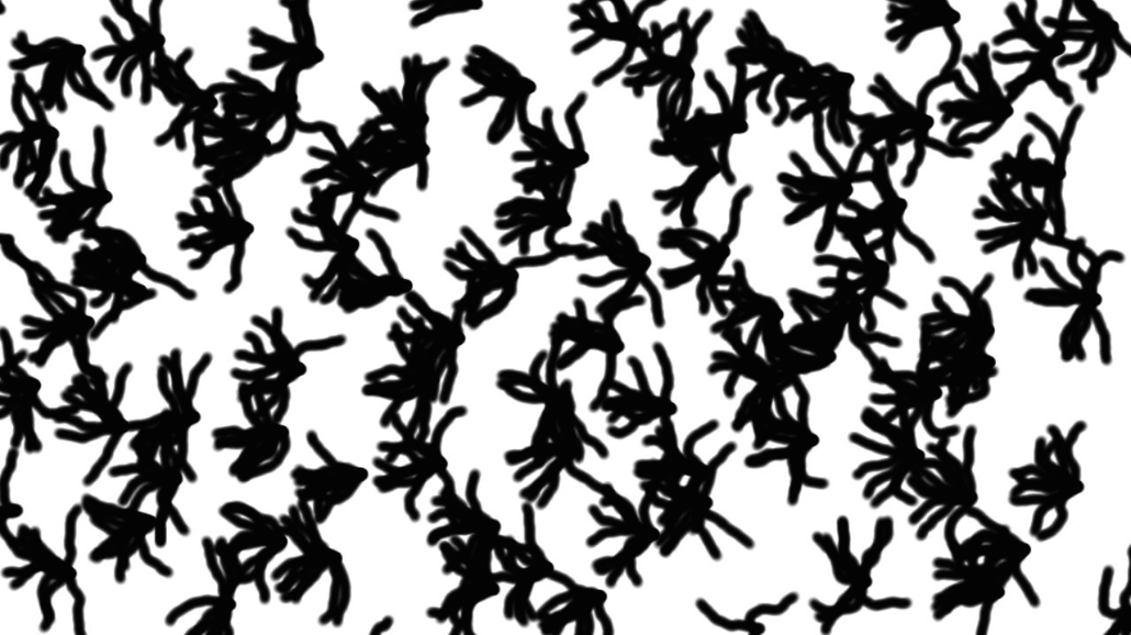 image: an image