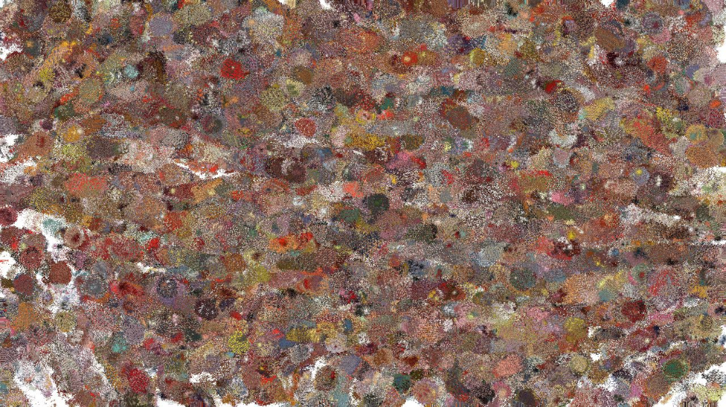 image: an image