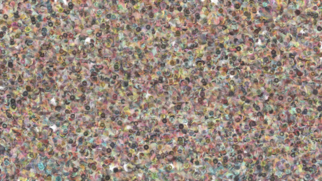 image: an image