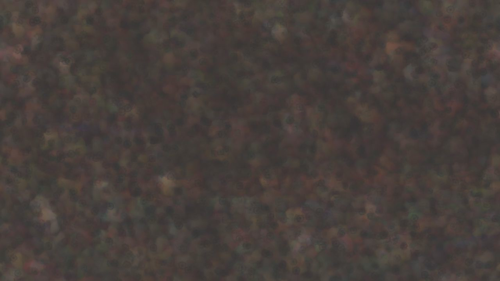 image: an image