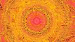 First of 'reflets &mdash; msg &mdash; variations 1 burnish 1'.