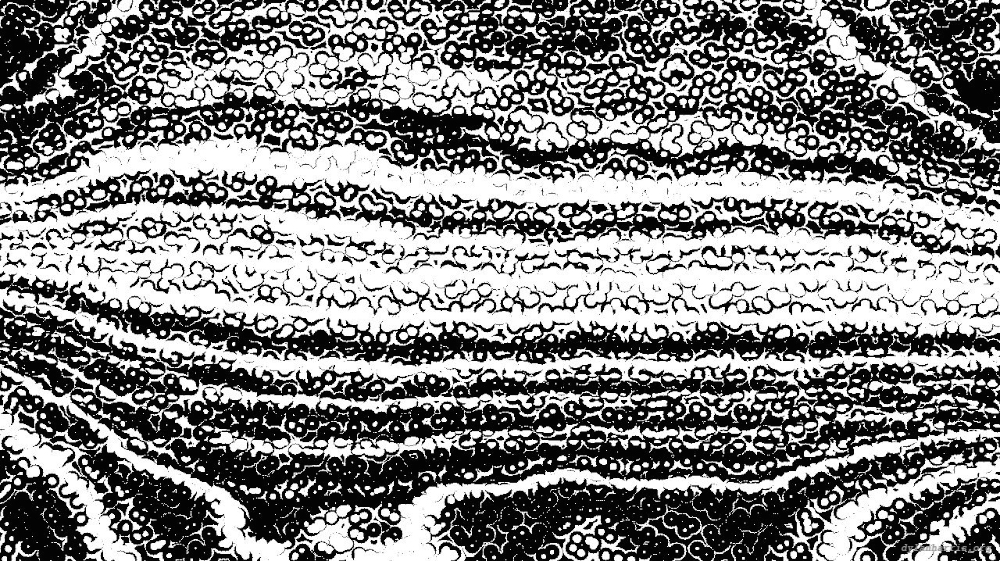 Image 'reflets &mdash; msg &mdash; processing effects 0 bw chamfer 1 1 5'.