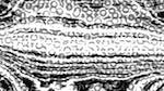 Sixth of 'reflets &mdash; msg &mdash; processing effects 0 bw chamfer 1 1'.