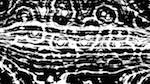 Eighth of 'reflets &mdash; msg &mdash; processing effects 0 bw chamfer 1 1'.