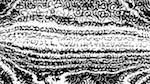 Fifth of 'reflets &mdash; msg &mdash; processing effects 0 bw chamfer 1 2'.