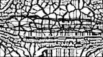 Fourth of 'reflets &mdash; msg &mdash; processing effects 0 bw chamfer 1 3'.