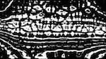 Seventh of 'reflets &mdash; msg &mdash; processing effects 0 bw chamfer 1 3'.