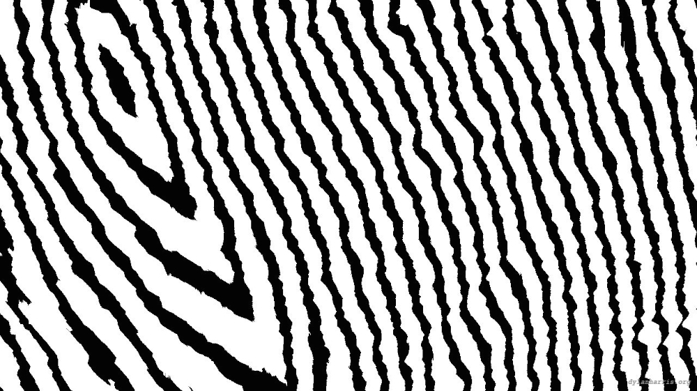 Image 'reflets &mdash; msg &mdash; processing effects 0 bw chamfer 1 3 8'.