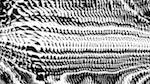 Sixth of 'reflets &mdash; msg &mdash; processing effects 0 bw chamfer 1 3'.