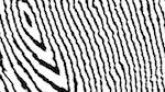 Eighth of 'reflets &mdash; msg &mdash; processing effects 0 bw chamfer 1 3'.