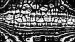 First of 'reflets &mdash; msg &mdash; processing effects 0 bw chamfer 1 4'.