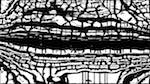 Second of 'reflets &mdash; msg &mdash; processing effects 0 bw chamfer 1 4'.