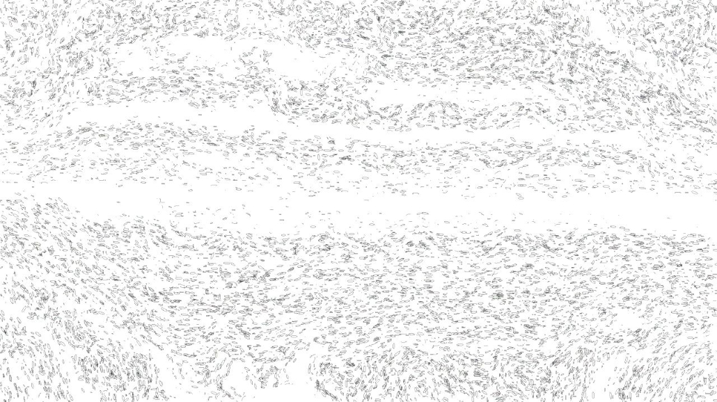 Image 'reflets &mdash; paint synthesiser classic &mdash; 3.0 collection bw effects 1 2'.